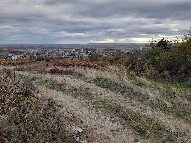 A scenic view of a winding dirt path leading towards a town nestled in the valley, surrounded by fields and under a partly cloudy sky.