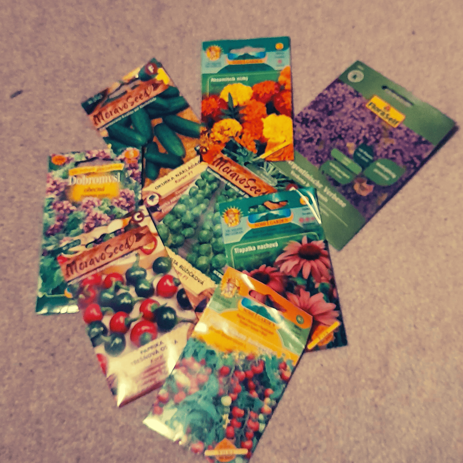 Starting My Garden: The First Seeds of the Year