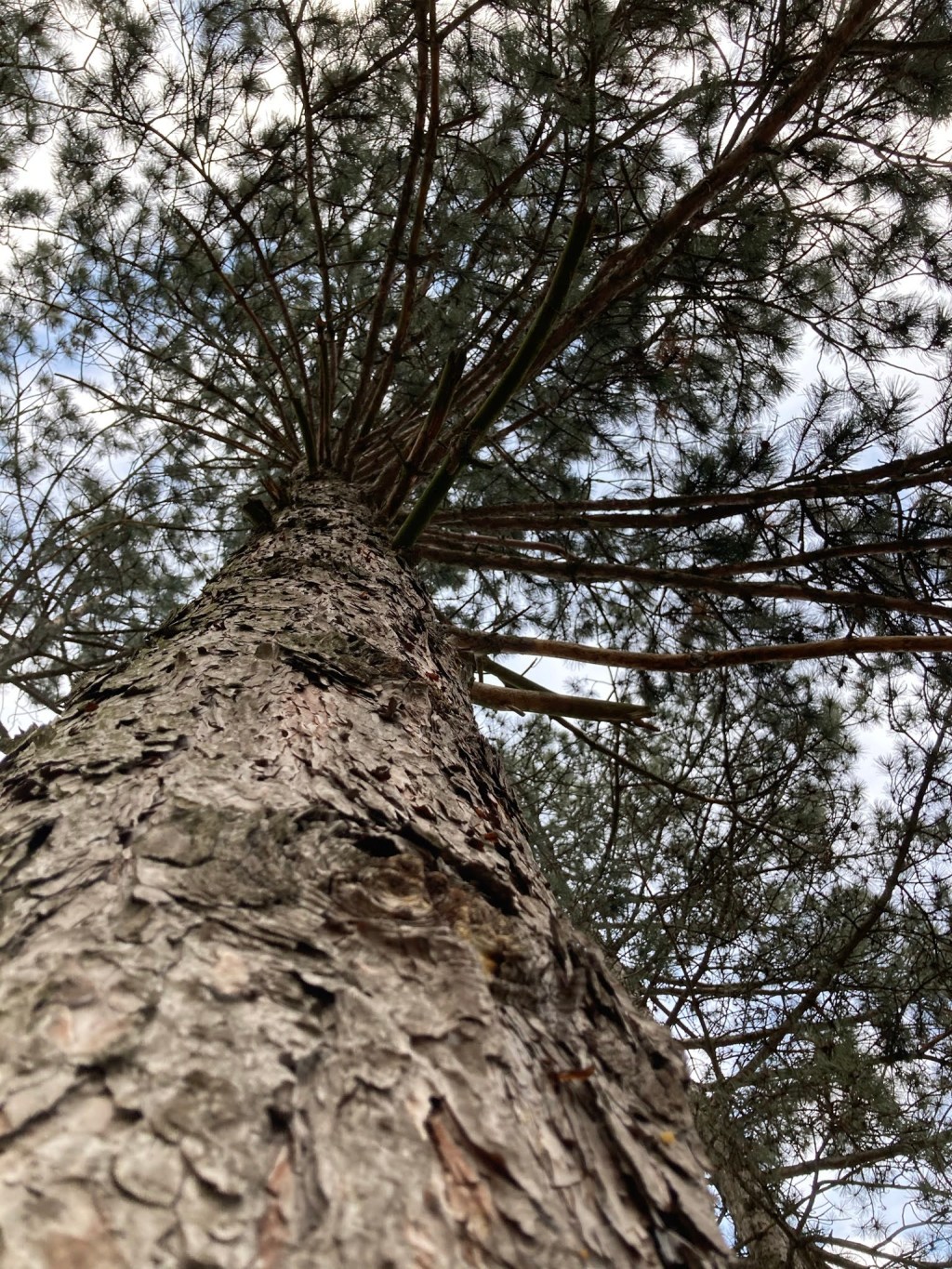 Avoid Burnout in Everyday Life: Small Steps Toward Feeling&nbsp;Better