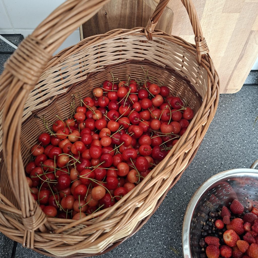Cherry Harvest Days and One Very Slow&nbsp;Jam