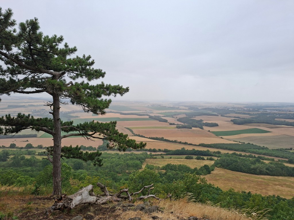 View from the top of Říp hill, showcasing rolling fields and forests under a cloudy sky.